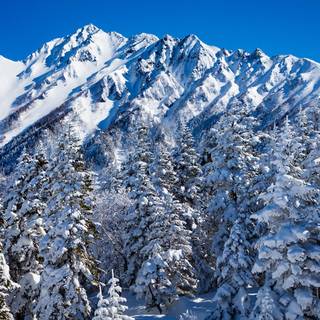 1920x1080 Japan winter wallpaper