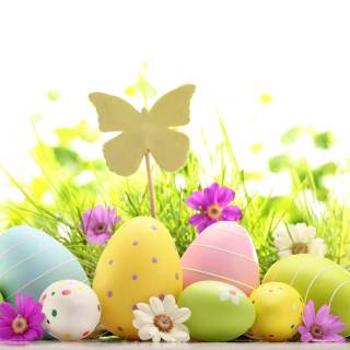 Easter and butterflies wallpaper