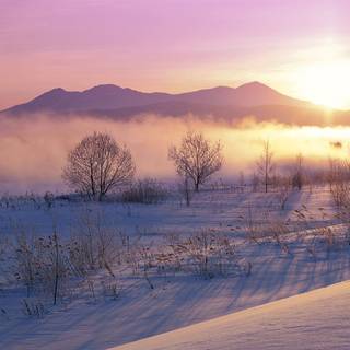 1920x1080 Japan winter wallpaper