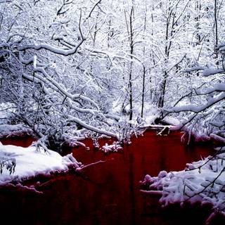 Blood River wallpaper