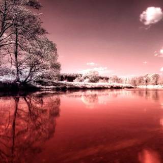 Blood River wallpaper