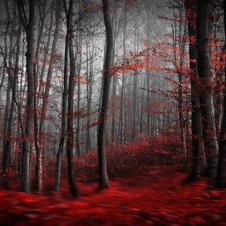 Blood River wallpaper