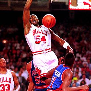 Horace Grant wallpaper