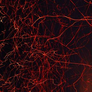 Fire sparkle wallpaper