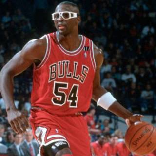 Horace Grant wallpaper