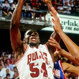 Horace Grant wallpaper