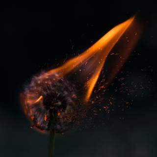 Fire sparkle wallpaper