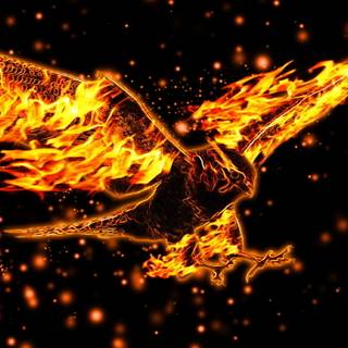 Fire sparkle wallpaper