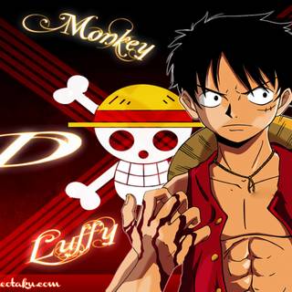 Monkey Luffy desktop wallpaper