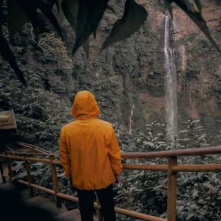 Sad boy 4k iPhone wallpaper