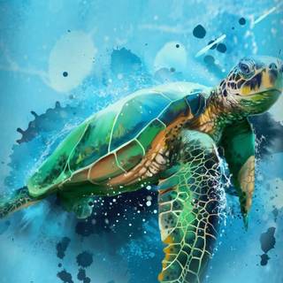 Cute sea turtle wallpaper