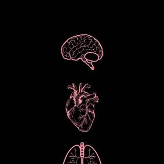 Dark psychology wallpaper