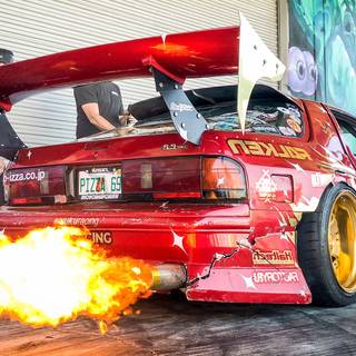 Twerkstallion wallpaper