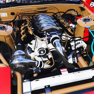 Twerkstallion wallpaper