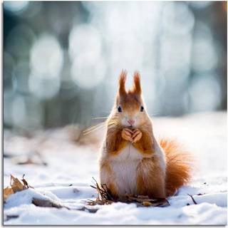 Winter cute animal wallpaper