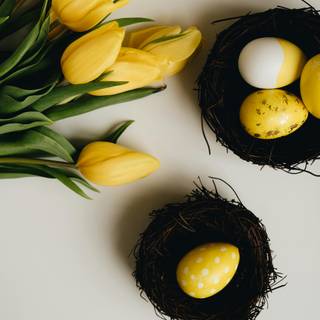 Easter egg yellow wallpaper