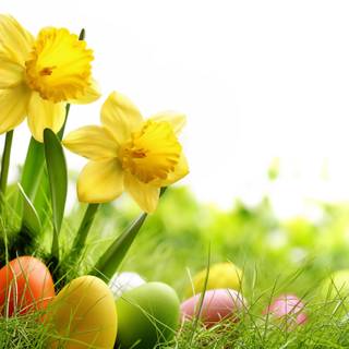 Easter egg yellow wallpaper