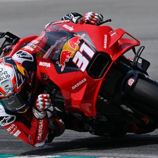 Jorge Martin 2024 wallpaper