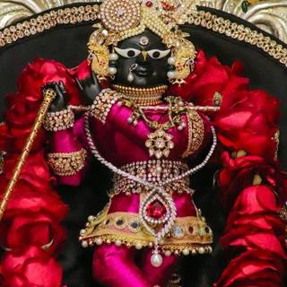 Radharaman wallpaper