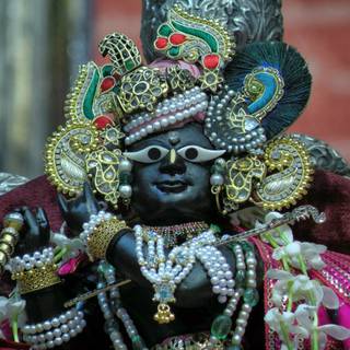 Radharaman wallpaper