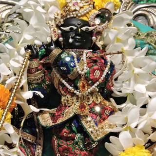 Radharaman wallpaper