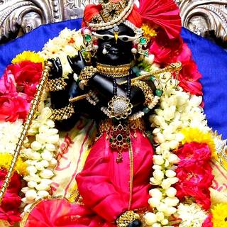 Radharaman wallpaper