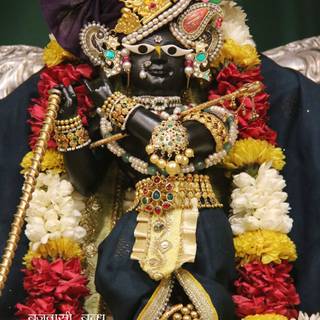 Radharaman wallpaper