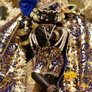 Radharaman wallpaper