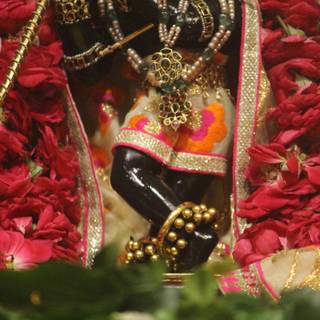 Radharaman wallpaper