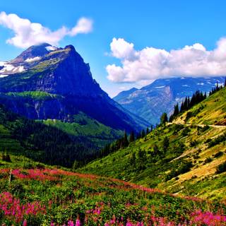 Spring scenery mobile wallpaper