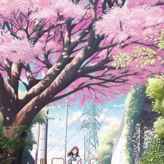 Anime girl spring iPhone wallpaper