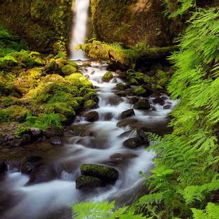 Spring landscape vertical wallpaper