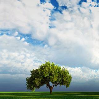 Spring landscape vertical wallpaper