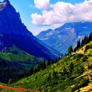 Spring landscape phone wallpaper