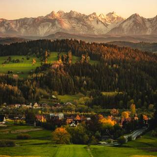 Spring landscape vertical wallpaper