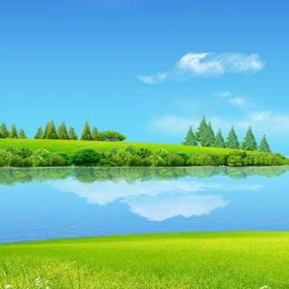 Spring landscape vertical wallpaper