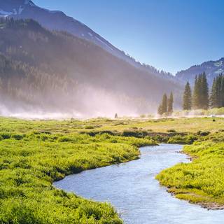 Spring landscape phone wallpaper