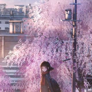 Anime girl spring iPhone wallpaper