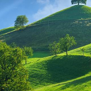 Spring landscape phone wallpaper