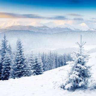 4k desktop winter wallpaper