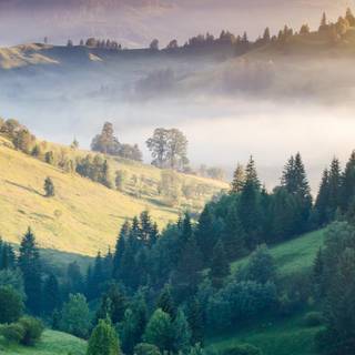 Spring landscape phone wallpaper