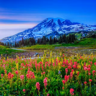 Mountain spring landscape wallpaper