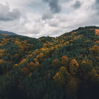 Spring landscape vertical wallpaper