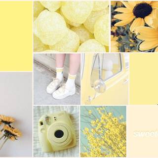 Computer spring collages wallpaper