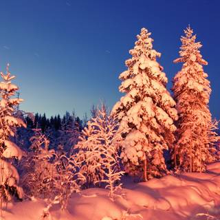 Computer 4k winter wallpaper