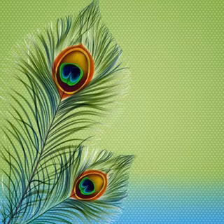 Krishna peacock wallpaper