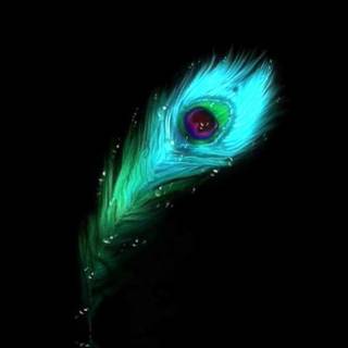 Krishna peacock wallpaper