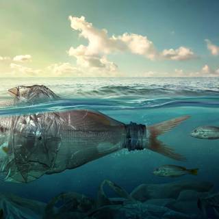 Ocean with plastic wallpaper