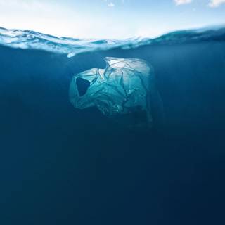 Ocean with plastic wallpaper