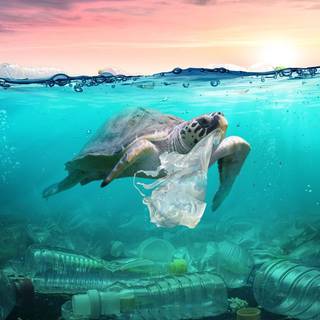 Ocean with plastic wallpaper